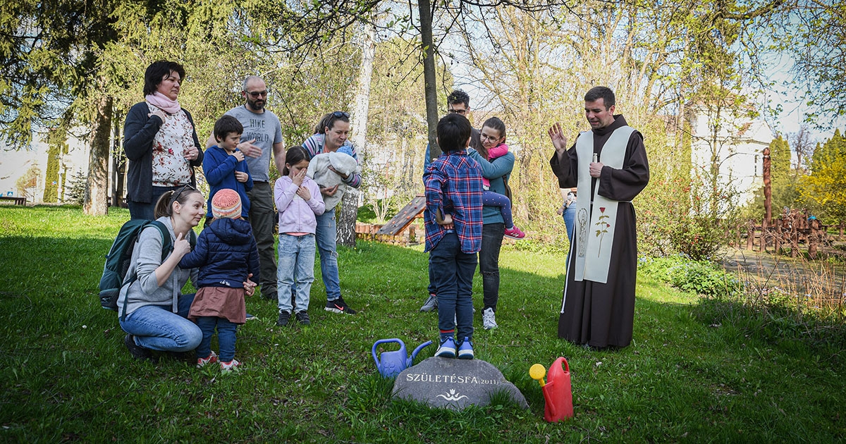 Meglocsolták a Születésfát